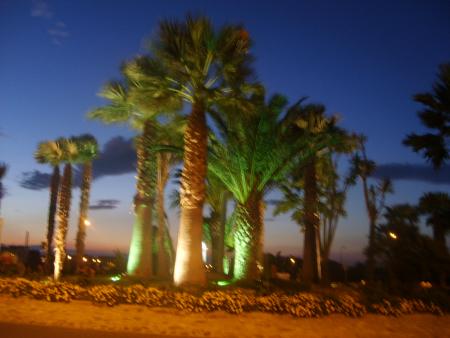 rond point de st cyprien